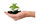 Responsabilité Sociétale des Entreprises et des Organisations
